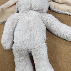 Kosete leke Konijn, som rapportert av IKEA Amersfoort ved bruk av iLost