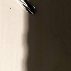 المفاتيح، كما تم الإبلاغ عنه بواسطة Centraal magazijn عبر iLost