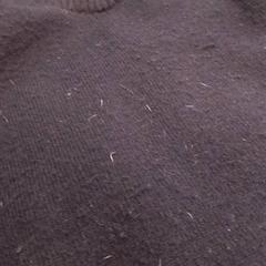 Jersei Blauw, segons ha informat Qbuzz Fryslân mitjançant iLost