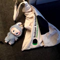 バッグ がiLostで EBS Tramplein によって報告されました