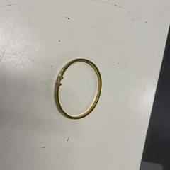 Pulseira Goud, segundo informou Avonturenpark Hellendoorn usando iLost