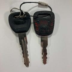 Nøkkel, som rapportert av Gemeente Ede ved bruk av iLost