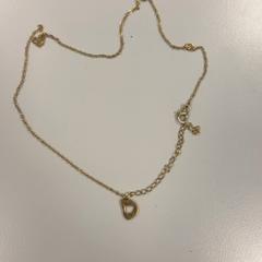 Pegar Goud, segundo informou Vrije Universiteit Amsterdam usando iLost