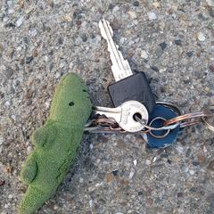 Sleutels keys, gerapporteerd met iLost