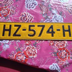 Kentekenplaat HZ-574-H, iLost-i jakinarazi zaion moduan