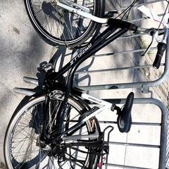 Bici da donna gazelle, come riportato da Stadswerk072 utilizzando iLost