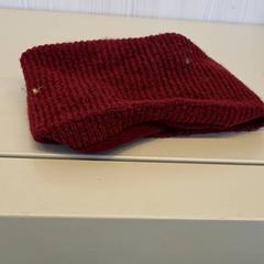 Beanie, as reported by Transdev Gooi en Vechtstreek using iLost