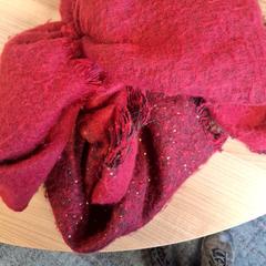 Shawl, as reported by Connexxion Haarlem AML using iLost