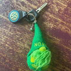 autosleutel VWpolo met sleutelhanger Noah، كما تم الإبلاغ عنه عبر iLost