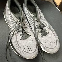 Tenisky Grijs, jak nahlášeno Qbuzz GD Groningen Peizerweg pomocí iLost