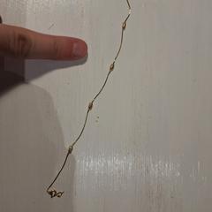 Bracelet, som rapporterats till iLost