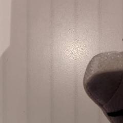 Knuffel, zoals gemeld door De Efteling met iLost