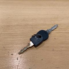 Clés de vélo SLEUTEL, a été signalé par Gemeente Gooise Meren utilisant iLost