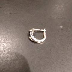 Boucle d'oreille, a été signalé par TivoliVredenburg utilisant iLost