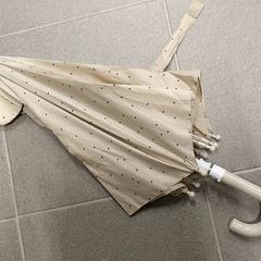 Paraigües, segons ha informat Centraal magazijn mitjançant iLost