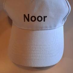 Pet Beige, zoals gemeld door Familiepark Drievliet met iLost
