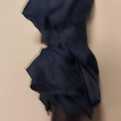 Aterkia Blauw, gisa salatu by Vrije Universiteit Amsterdam iLost erabiliz