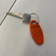 Kľúč, ako bolo nahlásené HTM pomocou iLost