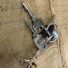 Sleutelbos, iLost에 보고됨