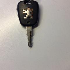 Chave do coche Peugeot met hanger, segundo informou Gemeente Veenendaal usando iLost