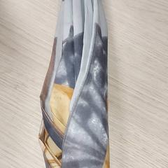 우산, iLost를 사용하여 Regio Antwerpen - Brussel에 보고됨