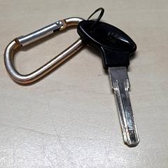 Nyckel, rapporterat av Arriva Oost-Brabant med iLost