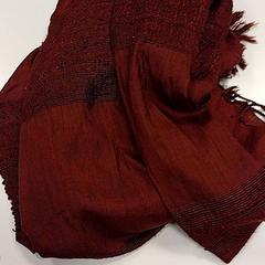 Xal, segons ha informat Vrije Universiteit Amsterdam mitjançant iLost