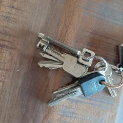 Sleutelbos, as reported to iLost