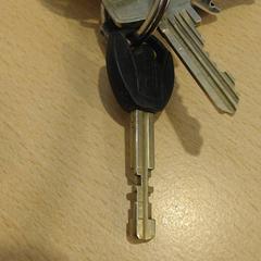 Keychain, as reported by Walibi Holland using iLost