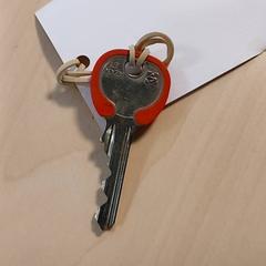 Llave, ha sido reportado por Regio Oost-Vlaanderen con iLost