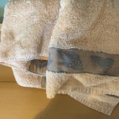 Håndkle, som rapportert av Familie Resort Molenwaard ved bruk av iLost