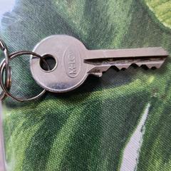 Sleutel, gerapporteerd met iLost