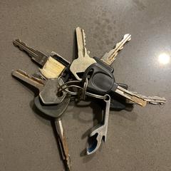 Sleutelbos がiLostに報告されました