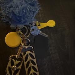 Sleutelbos, som rapporterats till iLost