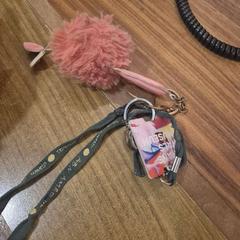 Porte-clés met ronze fluffy, a été signalé par Gemeente Heemstede utilisant iLost