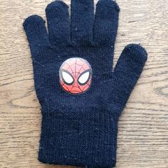 قفاز zwart spiderman، كما تم الإبلاغ عنه بواسطة DierenPark Amersfoort عبر iLost