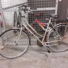 Cykel orion Zilver/taupe, rapporterat av Fietsdepot Hasselt med iLost