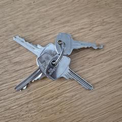 Sleutelbos a été signalé sur iLost