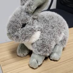 おもちゃ & ぬいぐるみ konijn がiLostで IKEA Hengelo によって報告されました