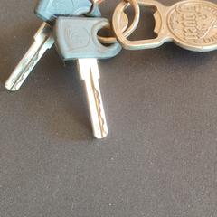 Fietssleutel, som rapporterats till iLost