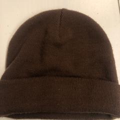 Muts Bruin, gemeldet von GVB über iLost