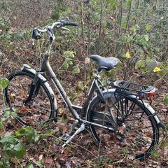 Gazelle fiets an iLost gemeldet