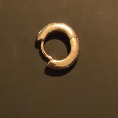 Oorbel, gerapporteerd met iLost