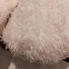 Mysig leksak, rapporterat av De Efteling med iLost