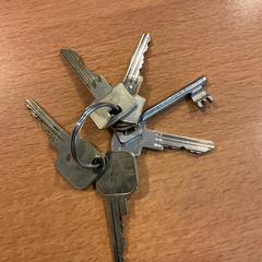 İLost kullanarak Gemeente Amsterdam tarafından bildirildiği gibi Anahtarlık