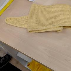 Szalik echarpe, zgłoszono przez IKEA Toulon przy użyciu iLost