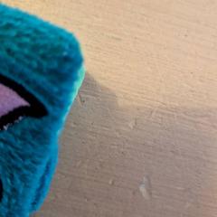 Książki Stof, zgłoszono przez Avonturenboerderij Molenwaard przy użyciu iLost