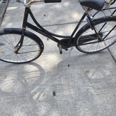 Kapitein damesfiets, segundo informou Stadswerk072 usando iLost