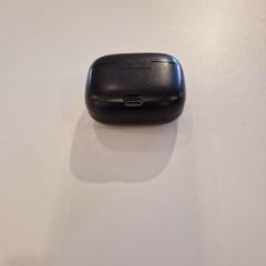 Oortjes case zwart, come riportato da Gemeente Noordwijk utilizzando iLost