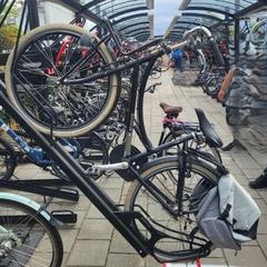 Bicicletta Batavus zwart, come riportato da Gemeente Barneveld utilizzando iLost